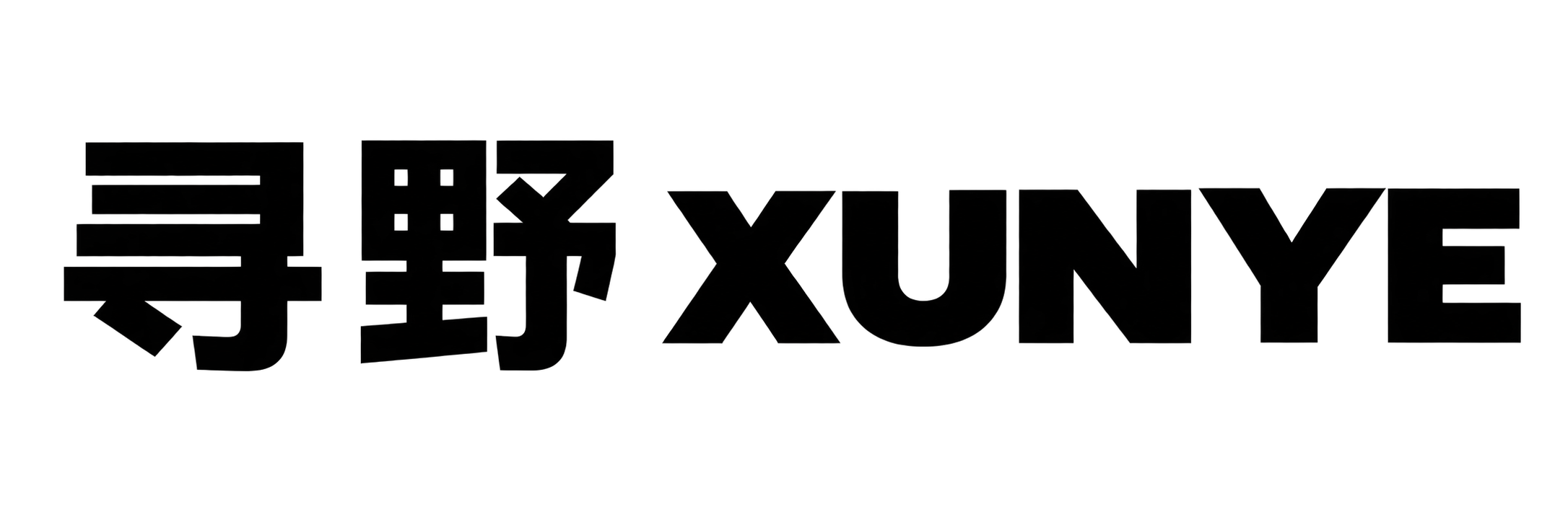 寻野 XUNYE